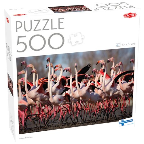 Greater Flamingos